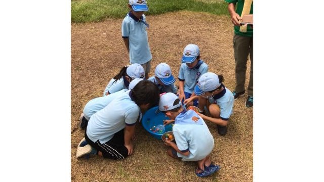 夏祭り スーパーボールすくい 夏祭り スーパーボールすくい