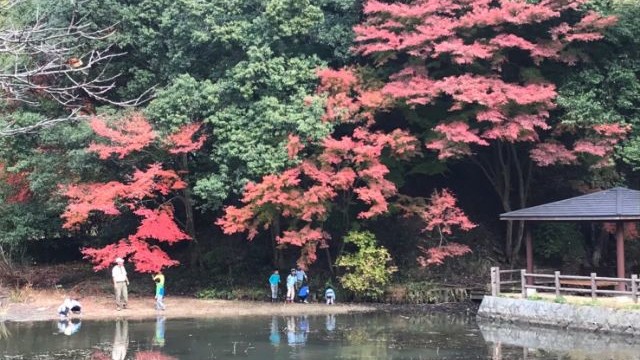 紅葉ハイク 紅葉ハイク