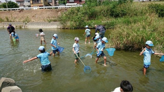 川遊び 川遊び