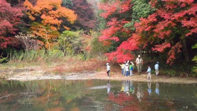 紅葉ハイク 紅葉ハイク