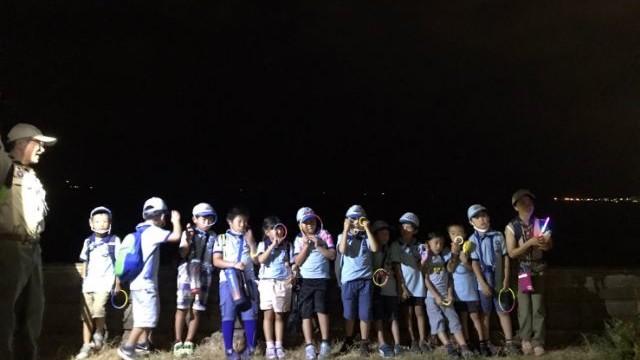 夏のナイトウォーク 夏のナイトウォーク