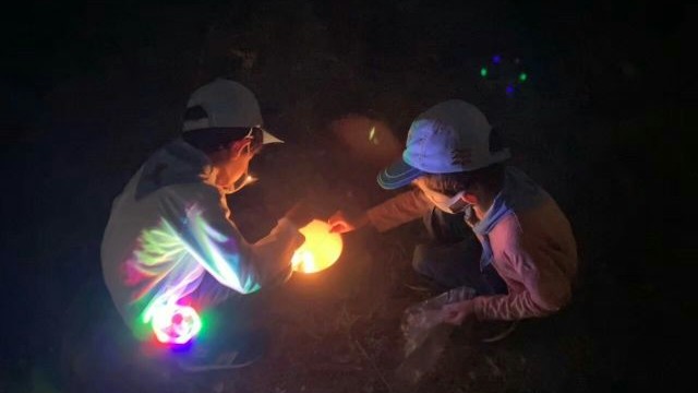 夏の花火 夏の花火