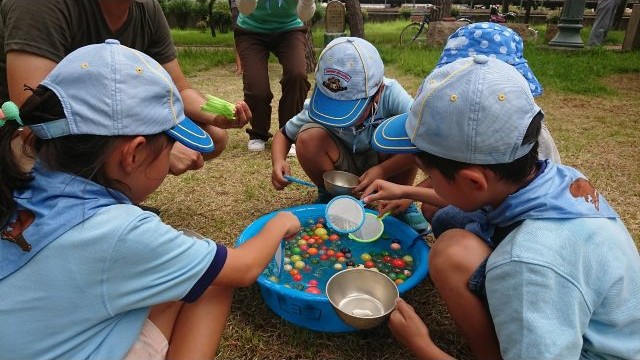 スーパーボールすくい スーパーボールすくい