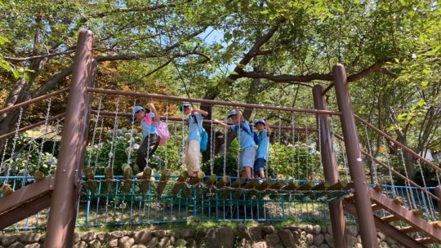 夏のピクニック 夏のピクニック