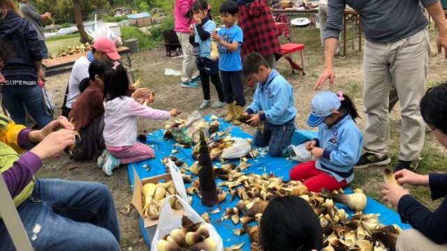 たけのこ掘り たけのこ掘り